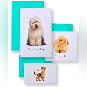 Cute note cards by Zoomerang